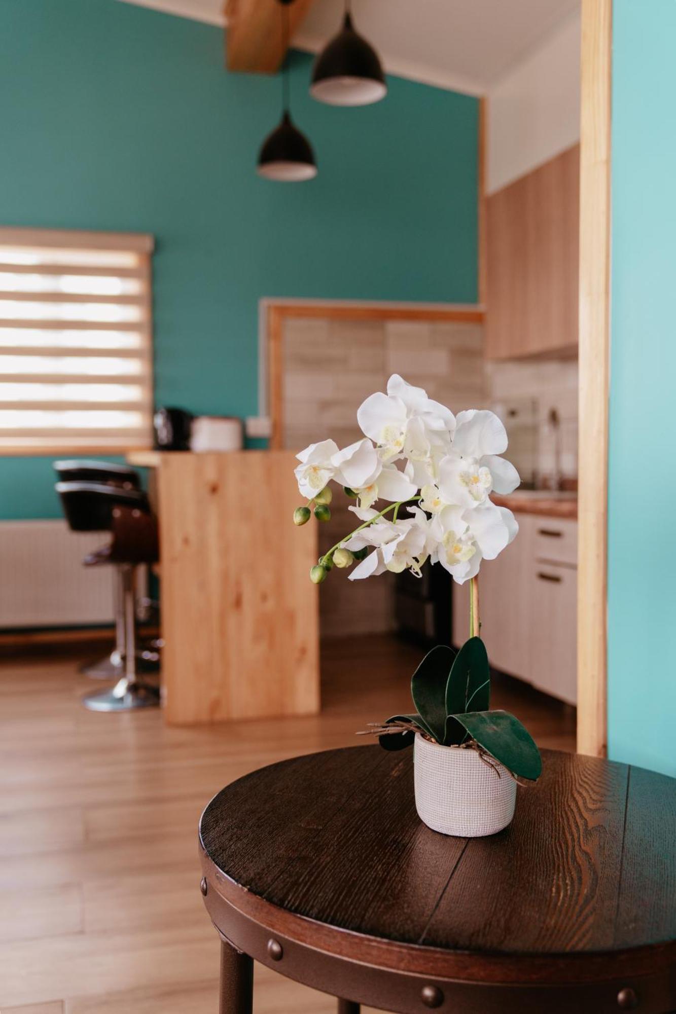 Arte Brisa Patagonia Holiday home *